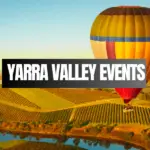 Yarra Valley Wedding DJ